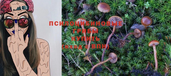 мет Дмитриев