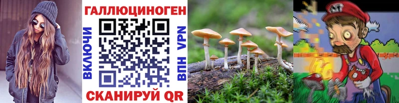 Псилоцибиновые грибы мицелий  Купить где  Иркутск 